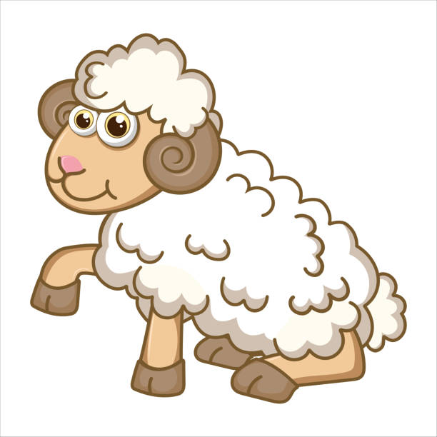 Mutton. Cute Young Sheep isolated on white background. Farm animal cartoon character. Education card for kids learning animals. Logic Games for Kids. Vector illustration in cartoon style Mutton. Cute Young Sheep isolated on white background. Farm animal cartoon character. Education card for kids learning animals. Logic Games for Kids. Vector illustration in cartoon style. ewe stock illustrations