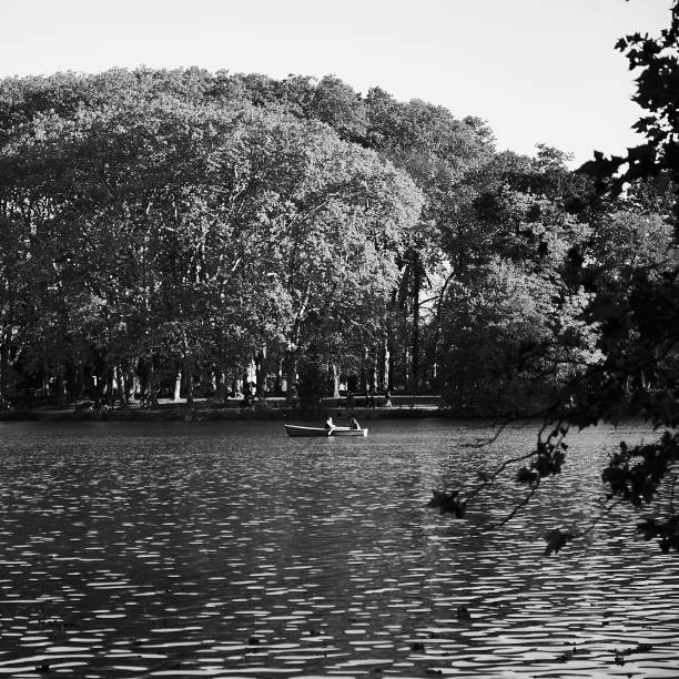 istock Alone on the park lake 1358839159