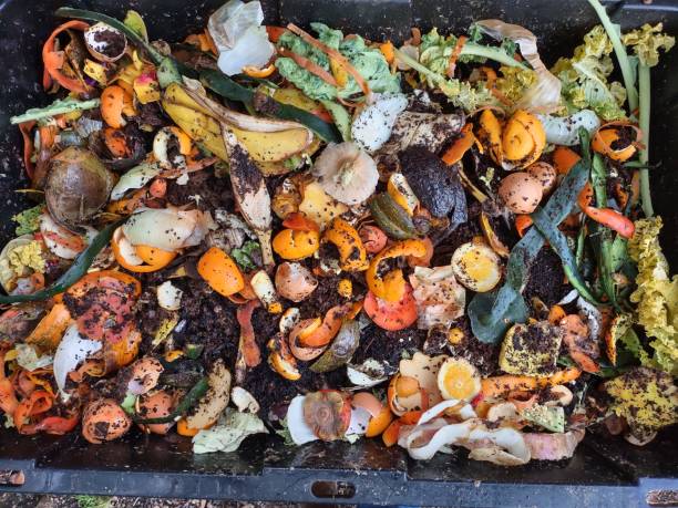 istock Compost bin with layers of organic matter and soil. Environmentally friendly and sustainable lifestyle. 1358840049