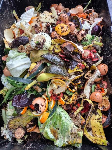 istock Compost bin with layers of organic matter and soil. Environmentally friendly and sustainable lifestyle. 1358840072