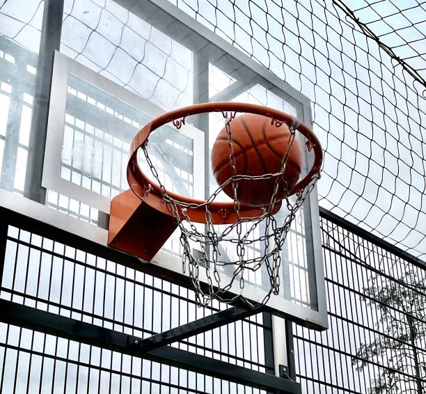 istock Basketball in a basket 1358840223