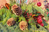 haus-garten.jpg?b=1&s=170x170&k=20&c=3Yr
