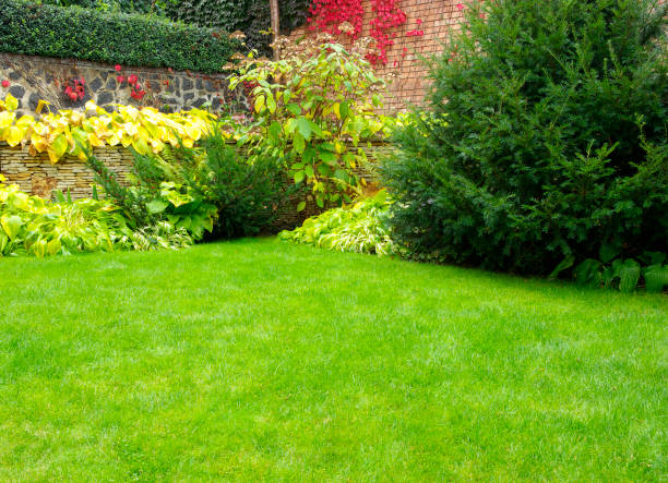 istock Detail of a botanical garden. 1358844945