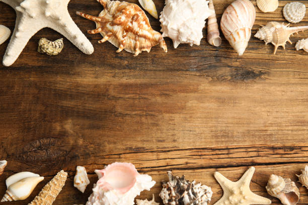istock Different sea shells on wooden table, flat lay. Space for text 1358847316