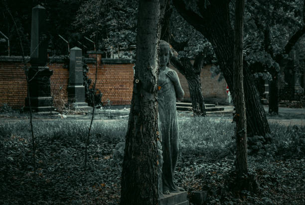 chica del cementerio - sculpture gothic style grave spooky fotografías e imágenes de stock