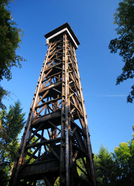 istock Old Goethe Tower in Frankfurt am Main Hesse Germany 1358849233