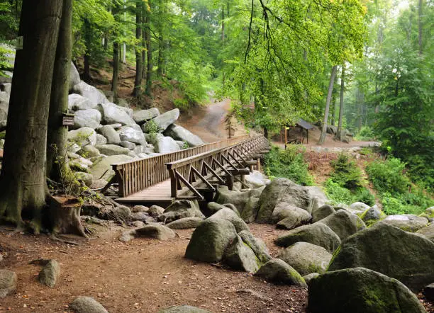 Wooden Footbridge Within Boulder Rocks At Felsenmeer In A Forest In Odenwald Hesse Germany On A Beautiful Day