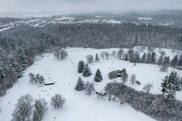 Vaughan, Ontario, Canada.