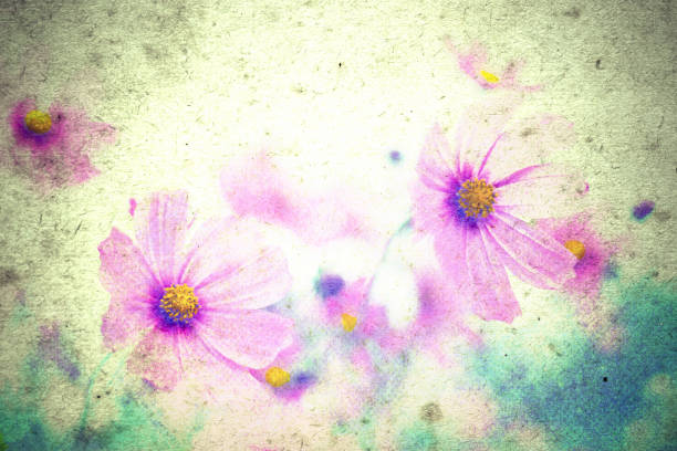Photo flowers on a vintage  background