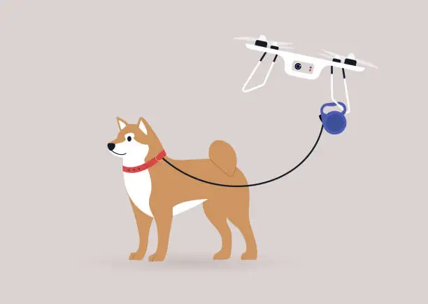 Vector illustration of A flying drone copter walking a shiba inu dog, new technologies in daily life, modern lifestyle concept