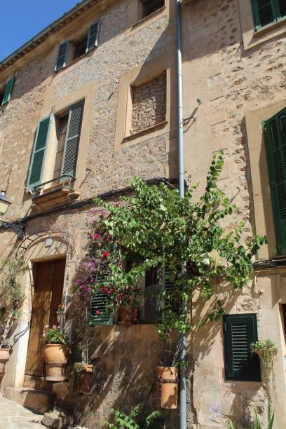 istock Houses with plants 1358859503