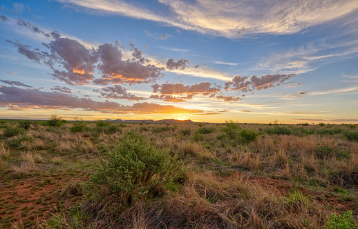 Dramatic sunset in Pilanesberg National Park, South Africa during the summer, wet, season which provides an abundance of rich green grass for the herbivores and subsequently for the predators.