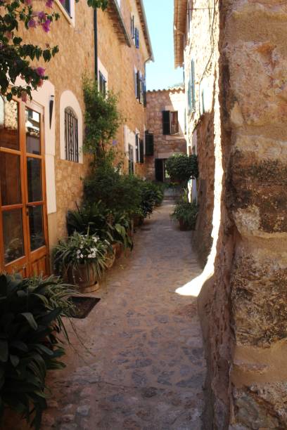istock Narrow street with plants 1358860543