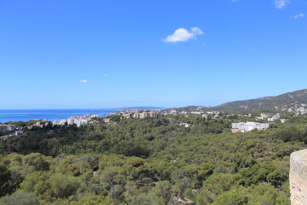 istock Houses in Palma 1358860961