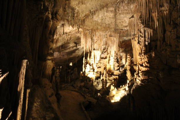 istock Cave of Dragon in Mallorca 1358861821