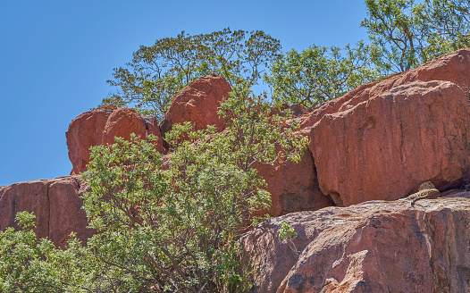 Beautiful Scene from Ormiston Pound, Northern Territory