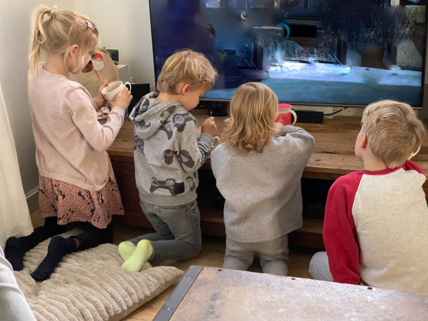 istock Children watching tv at Sinterklaas 1358863961