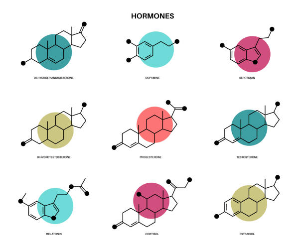 ilustraciones, imágenes clip art, dibujos animados e iconos de stock de fórmula molecular de hormonas - progesterona