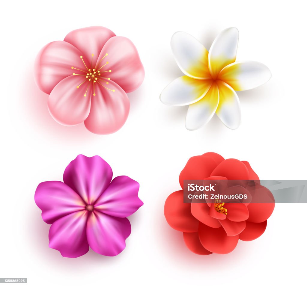 Ilustración de Escenografía Vectorial De Flores De Primavera Colección De Flores De Cerezo Camelia Plumeria Y Flor Violeta De La Temporada De Primavera Para La Decoración De Plantas De Adorno De Temporada Ilustración de Escenografía Vectorial De Flores De Primavera Colección De Flores De Cerezo Camelia Plumeria Y Flor Violeta De La Temporada De Primavera Para La Decoración De Plantas De Adorno De Temporada