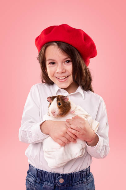 bambino carino sorridente con porcellino d'india - guinea pig pets child stroking foto e immagini stock