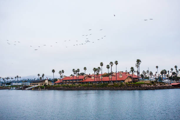 Ventura California