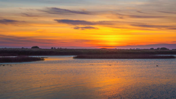 istock Orange sunset on a quiet lake, sunset reflected in calm water 1358868612