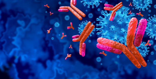 Antibodies Background Antibodies and antibody background and Immunoglobulin concept as t cells attacking contagious virus cells and pathogens as a 3D illustration. t cell photos stock pictures, royalty-free photos & images