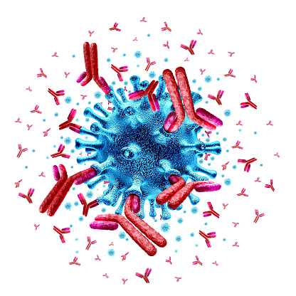 Anticuerpo atacando a la célula del virus photo