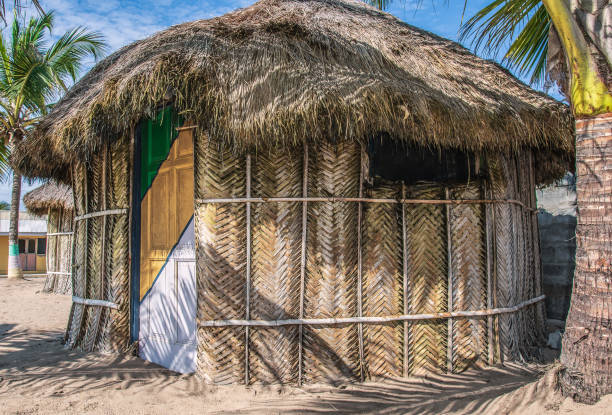 istock Africa bungalow with thatched roof 1358871339