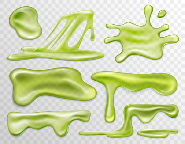 illustrazioni stock, clip art, cartoni animati e icone di tendenza di liquido di melma verde, set di macchie e gocce, vista dall'alto di lumaca splatter 3d, splats - monster set pattern green