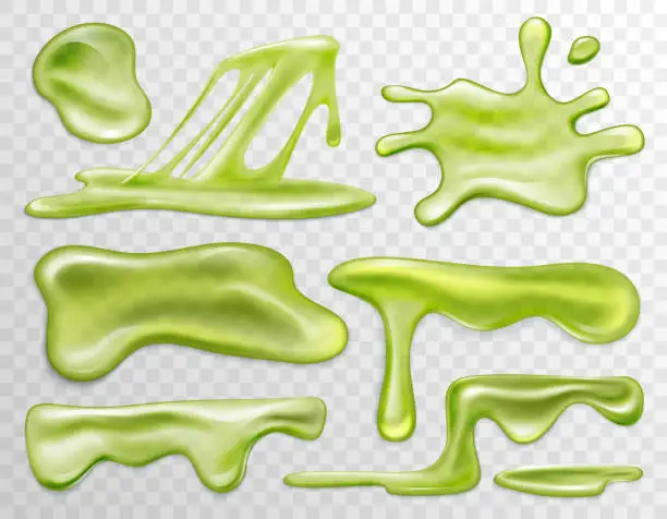 Vector illustration of Green slime liquid, blots and drops set, top view of 3d splatter snail slug, splats