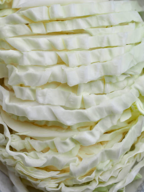 istock Fresh organic vegetable cabbage, ingredients for cooking 1358873007