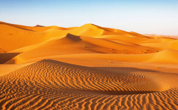 istock Dune Landscape in the Empty Quarter 1358873042