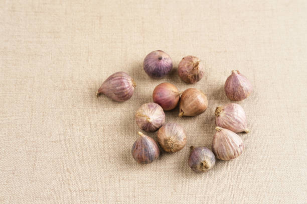 istock Single clover garlic or pearl garlic or solo garlic (Bawang putih tunggal). 1358883317