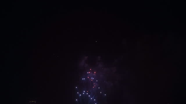 Colourful firework at night sky