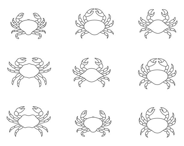 Crab vector set Crab vector set crab stock illustrations