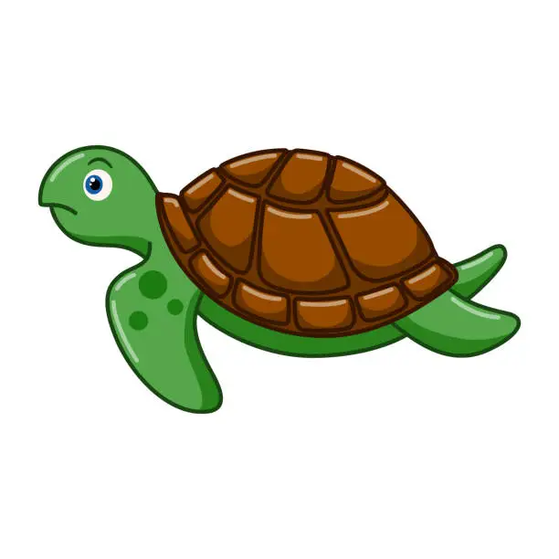 Vector illustration of Cartoon sea turtle on white background