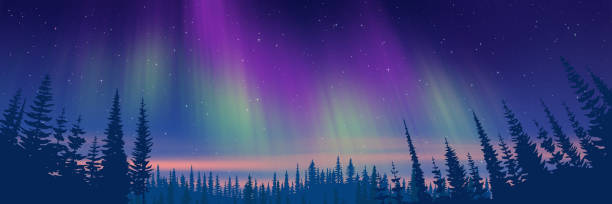 bildbanksillustrationer, clip art samt tecknat material och ikoner med new year landscape, aurora borealis, panoramic view - skog sverige