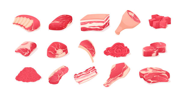 illustrations, cliparts, dessins animés et icônes de viande steaks frais charcuterie ensemble. saucisses, cervelat, steak de viande pour barbecue, salami, bacon, pain de viande, filet de bacon, poulet frit, poitrine de porc, jarret de bœuf vecteur - butchers shop butcher meat delicatessen