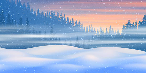 bildbanksillustrationer, clip art samt tecknat material och ikoner med fantasy on the theme of the winter landscape. dawn sky and snow drifts. vector illustration - skog sverige