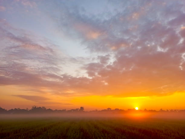 istock View of silhouette field with sunrise 1358901198