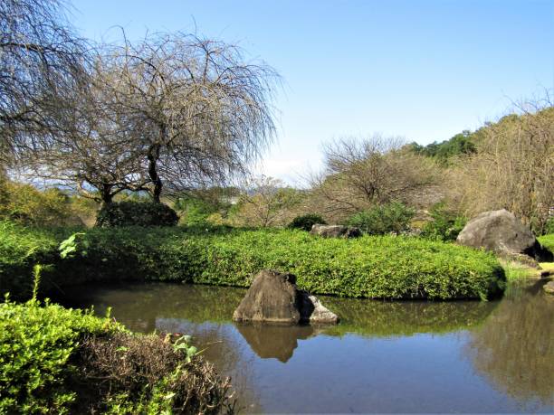 istock Japan. Nice sunny day in October. Pond at the Park. 1358904008