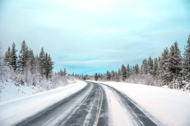 istock The lonely road in the forest with the snow 1358910229
