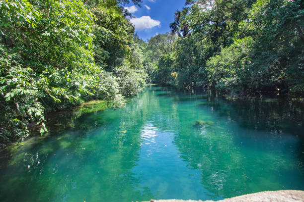 istock Beautiful Brazilian Lake 1358919299