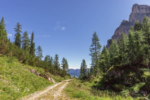 istock Scenic path through a gorge in the Dolomites on a sunny summer day (Nature park Puez Odle) 1358919364