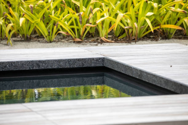 istock Maldives Swimming Pool 1358921764