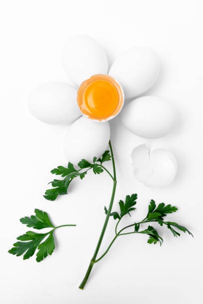 istock Creative photos of chicken eggs  on a white background 1358921952