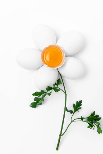 Creative photos of chicken eggs  on a white background