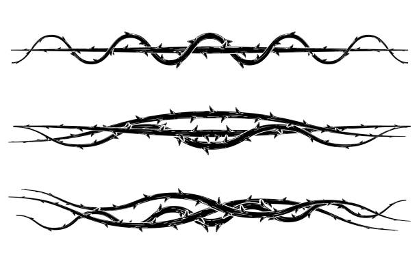 illustrations, cliparts, dessins animés et icônes de branches d’épine noire avec des épines fixées. - épine caractéristiques de la végétation