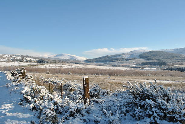 istock winter landscape in ireland 135892328